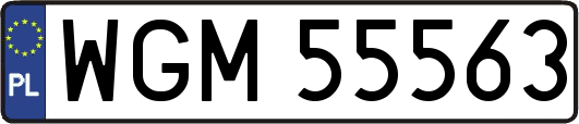 WGM55563