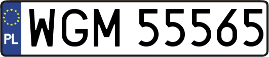 WGM55565