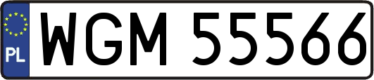 WGM55566