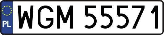 WGM55571