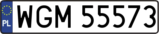 WGM55573