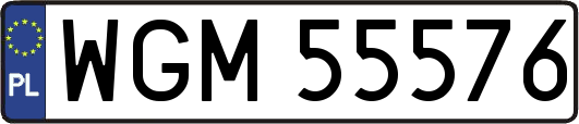 WGM55576