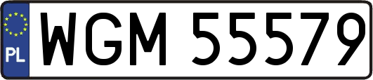 WGM55579