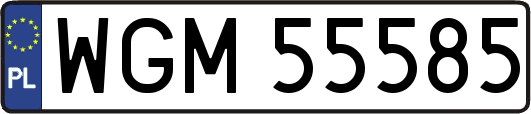 WGM55585