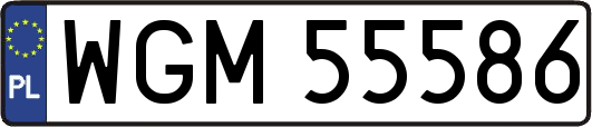 WGM55586