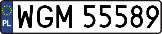 WGM55589