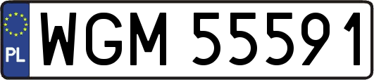 WGM55591