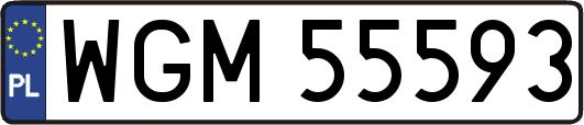 WGM55593
