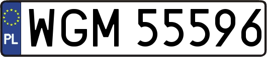 WGM55596