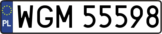 WGM55598