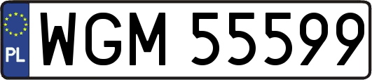 WGM55599