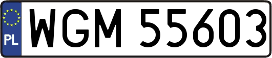 WGM55603