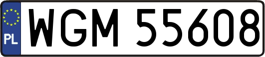 WGM55608