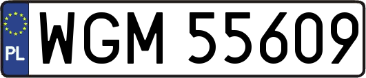 WGM55609