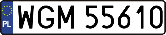 WGM55610