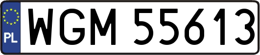 WGM55613