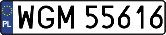 WGM55616