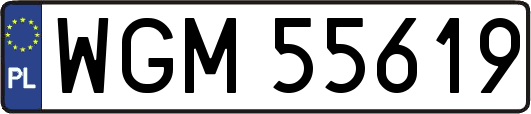 WGM55619