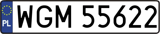 WGM55622
