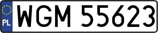 WGM55623