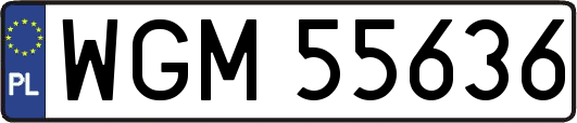 WGM55636