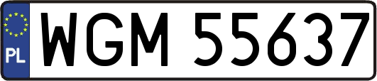 WGM55637