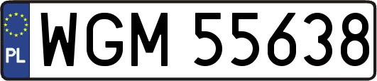 WGM55638