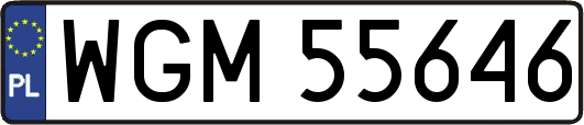 WGM55646