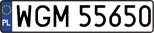 WGM55650