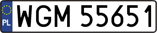 WGM55651