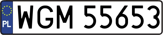 WGM55653