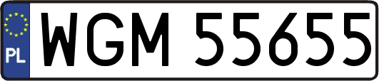 WGM55655