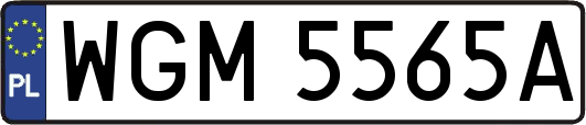 WGM5565A