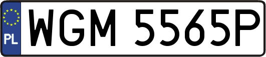 WGM5565P