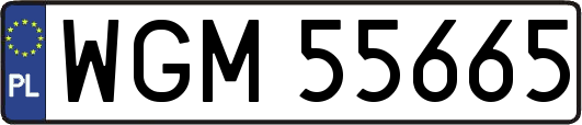 WGM55665