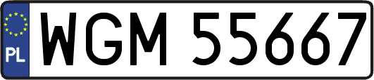WGM55667