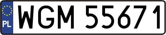 WGM55671