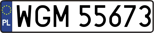 WGM55673