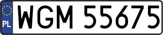 WGM55675