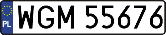 WGM55676