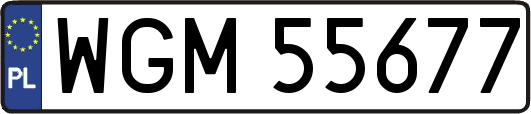WGM55677
