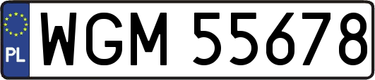 WGM55678