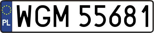 WGM55681