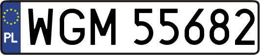 WGM55682