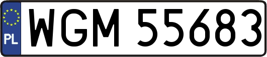 WGM55683