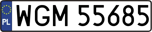 WGM55685
