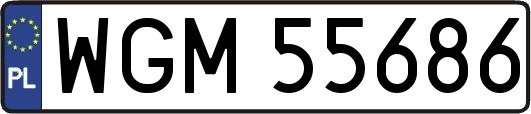WGM55686