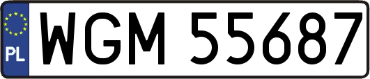 WGM55687