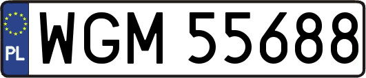 WGM55688