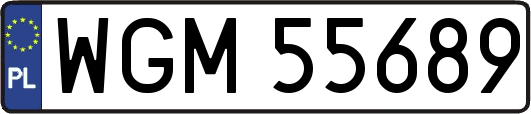 WGM55689